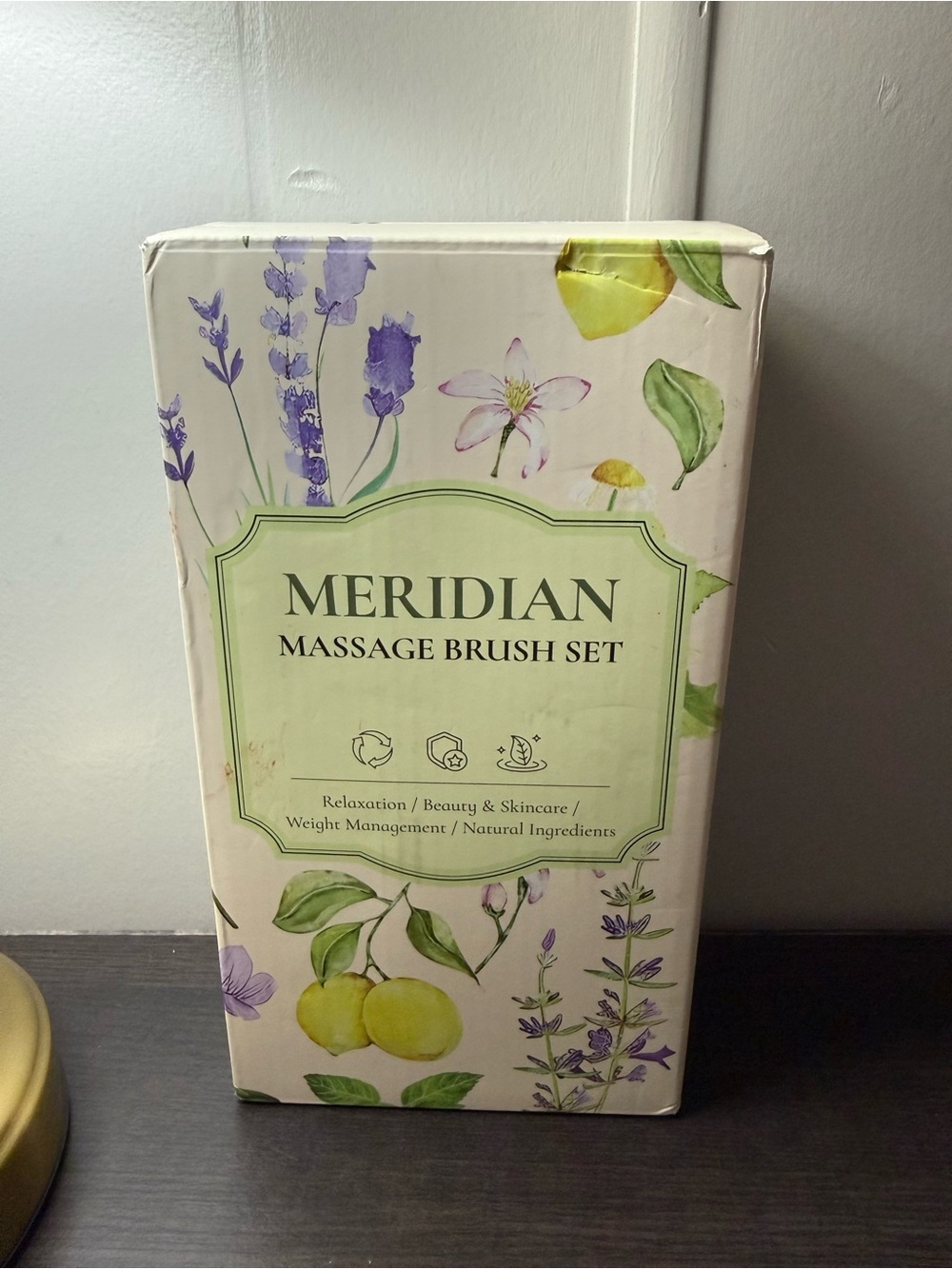 Meridian Massage Brush Set